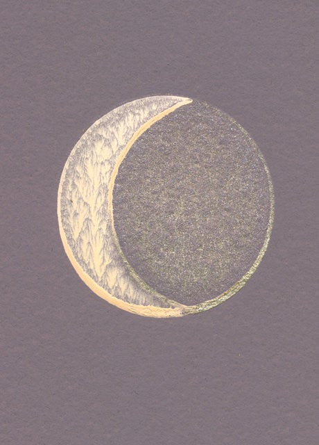 Bartsch Wallpaper | Moon Crescent Rutabaga
